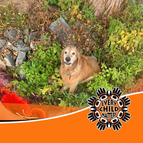 Meet your Posher, Penny - Picture 1 of 1